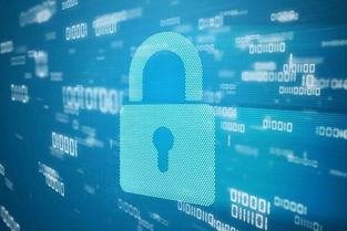 互聯網信息海洋中的慧眼 如何有效辨別網站真偽與信息可信度